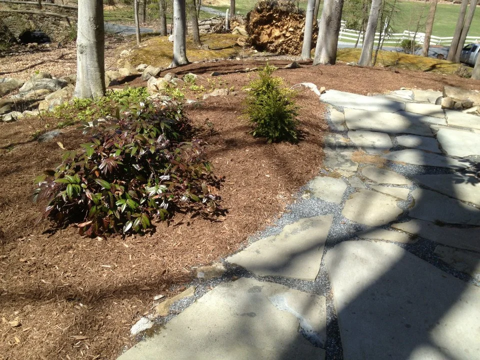 Landscape Design - Cold Spring - curved walkway in progress