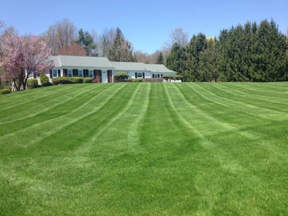 ndscape services - cold spring - wonderfully kept landscape services - a front yard wonderfully landscaped - long green, plush lawn recently mowed